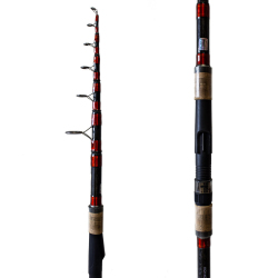 Big Fish 3.30m 60-120gr Karbon Tele Kamış - 2