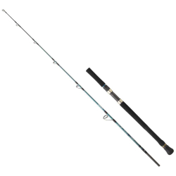 Daiwa Grandwave 1.68m 60-120 gr 2p Jig Olta Kamışı - 1