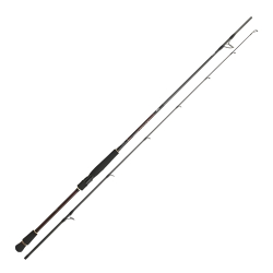 Daiwa Infeet Seabass 2.44m 7-28gr 2P Kamış - 1