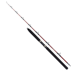 Ryuji Deep Rider 1.80m 50-80 LBS 1+1 Trolling Olta Kamışı - 2