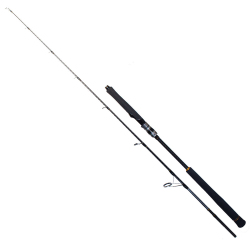 Ryuji Seawolf 1.68m 150-250gr 2P Jig Olta Kamışı - 1