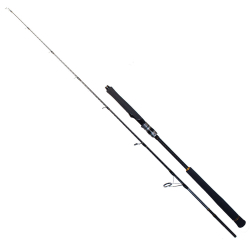 Ryuji Seawolf 1.80m 300-600gr 2P Jig Olta Kamışı - 1