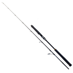 Ryuji Seawolf 1.98m 150-250gr 2P Jig Olta Kamışı - 1