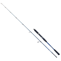 Ryuji Strobe II 1.68m 80-170gr 2P Jig Olta Kamışı - 1